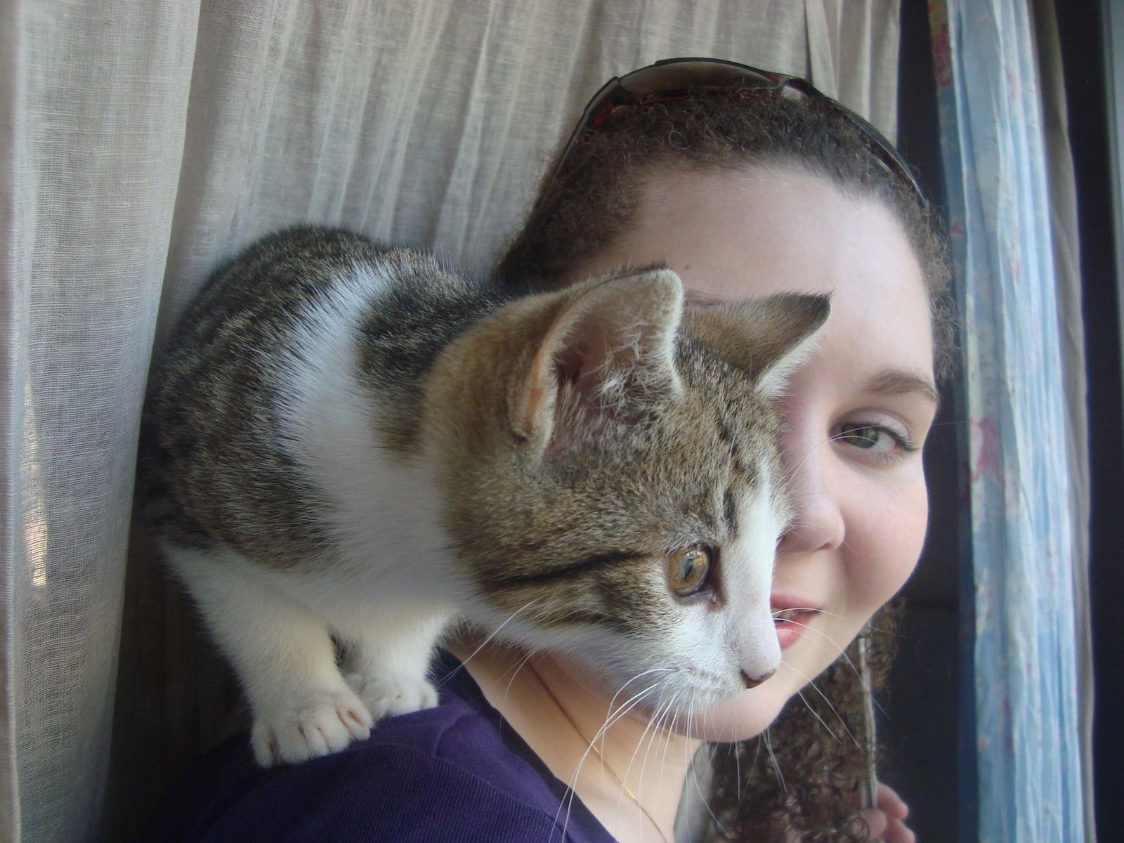 National Foster a Pet Month